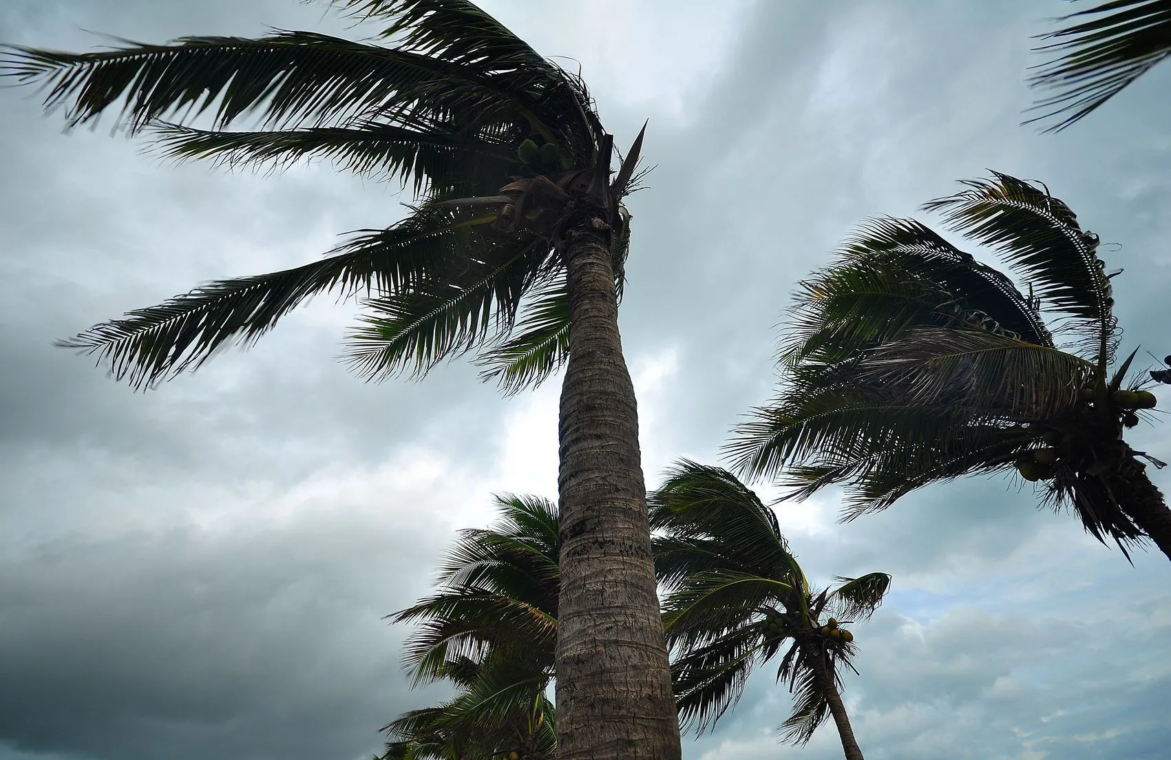 Storm approaching over a coastal area